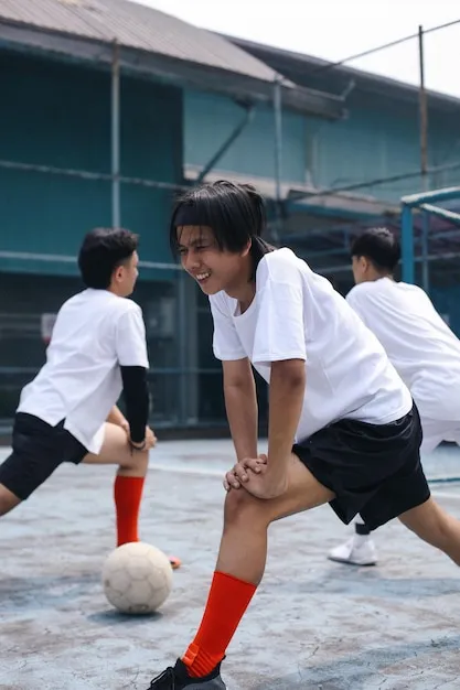 开启你的米兰体育高清直播之旅